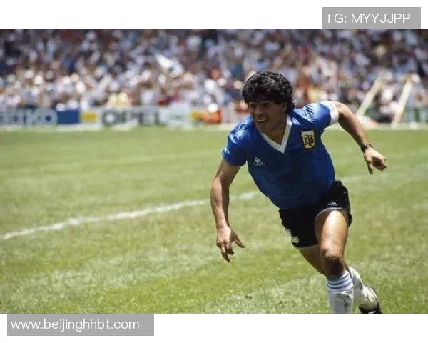 马拉多纳:足坛传奇,球王之路